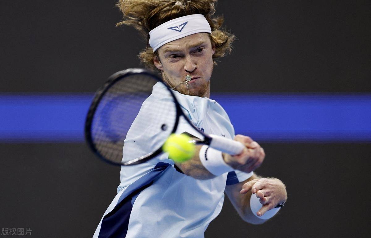 提供了重要 提供了重要