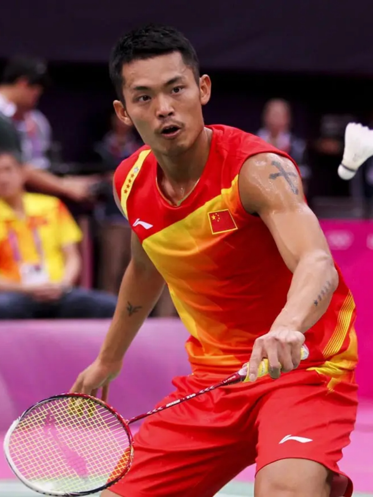 林蒂安的部 林蒂安的部